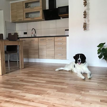 Apartmany A&Z Horice na Sumave Bagian luar foto