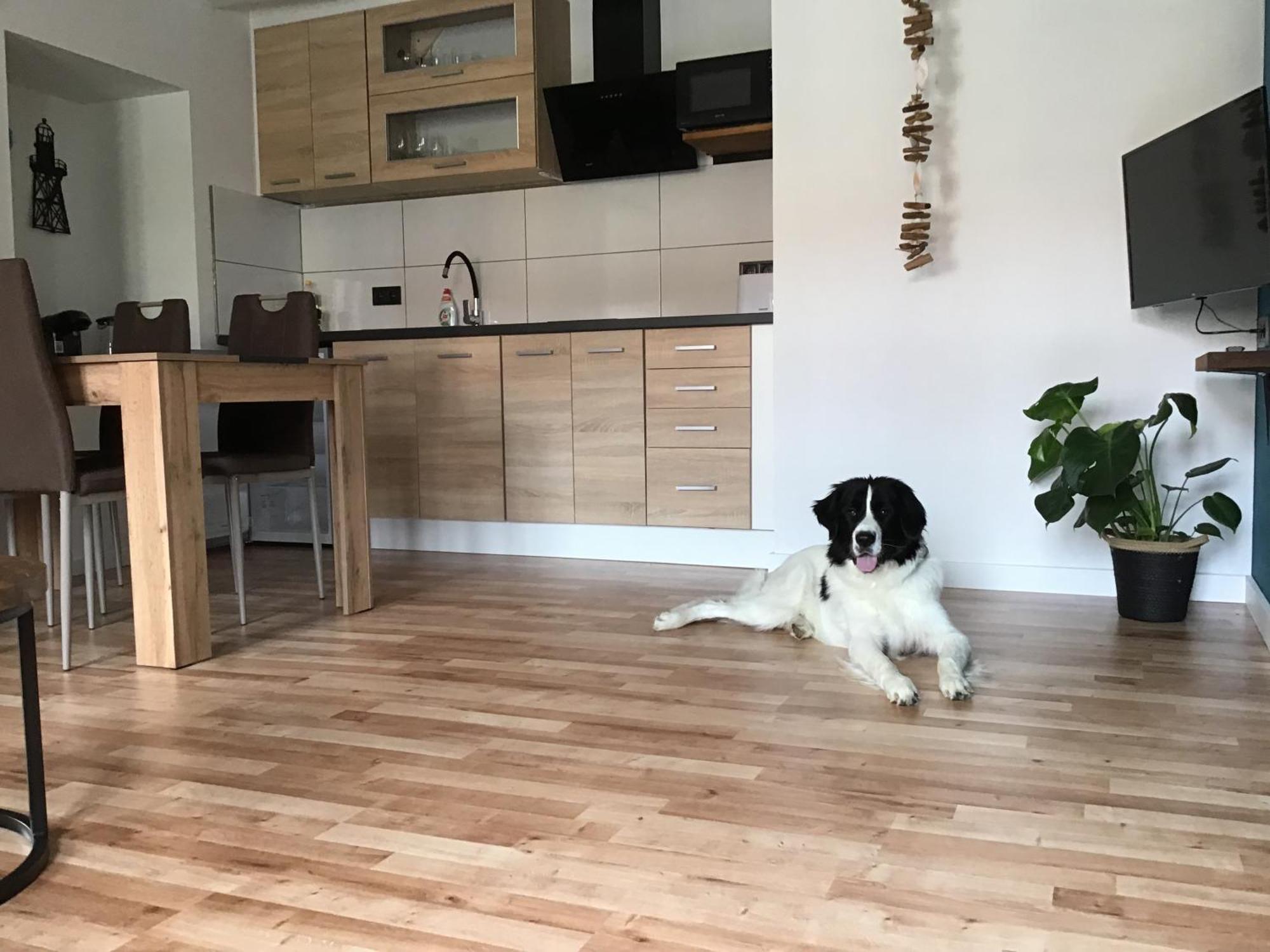 Apartmany A&Z Horice na Sumave Bagian luar foto