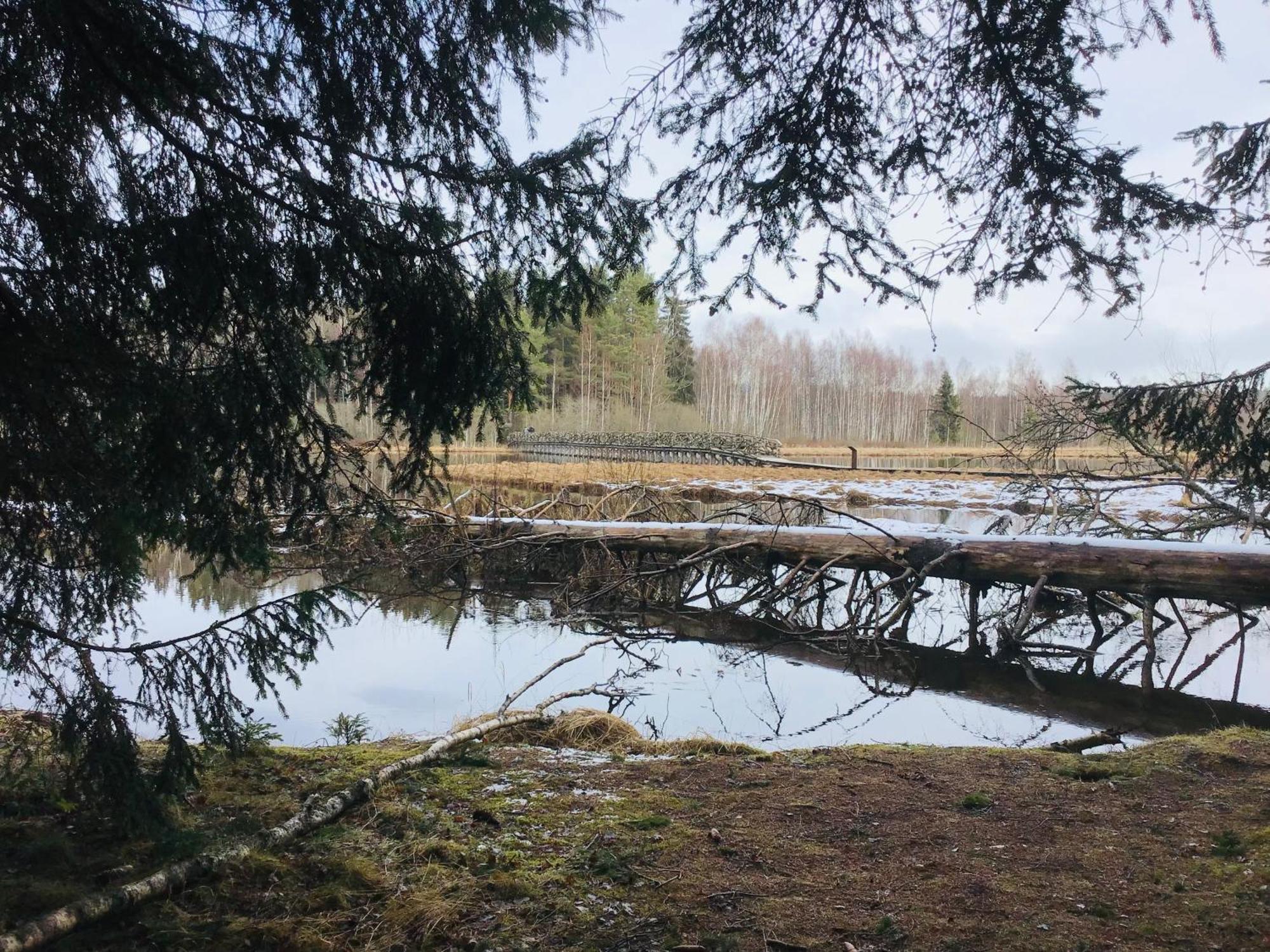 Apartmany A&Z Horice na Sumave Ruang foto